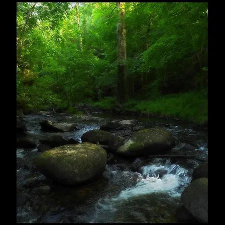 Malrieu לינה וארוחת בוקר