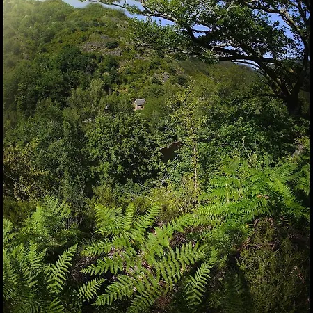 Malrieu Bed and breakfast 3*