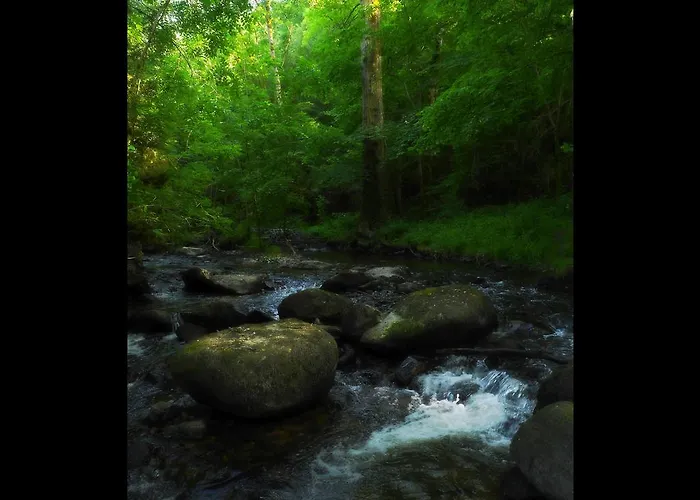 Malrieu Bed & Breakfast