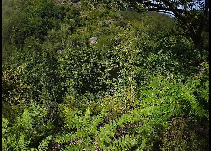 Malrieu Bed & Breakfast 3*